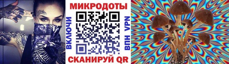 Галлюциногенные грибы MAGIC MUSHROOMS  сайты даркнета формула  Королёв 