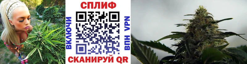 Шишки марихуана ГИДРОПОН  Королёв 